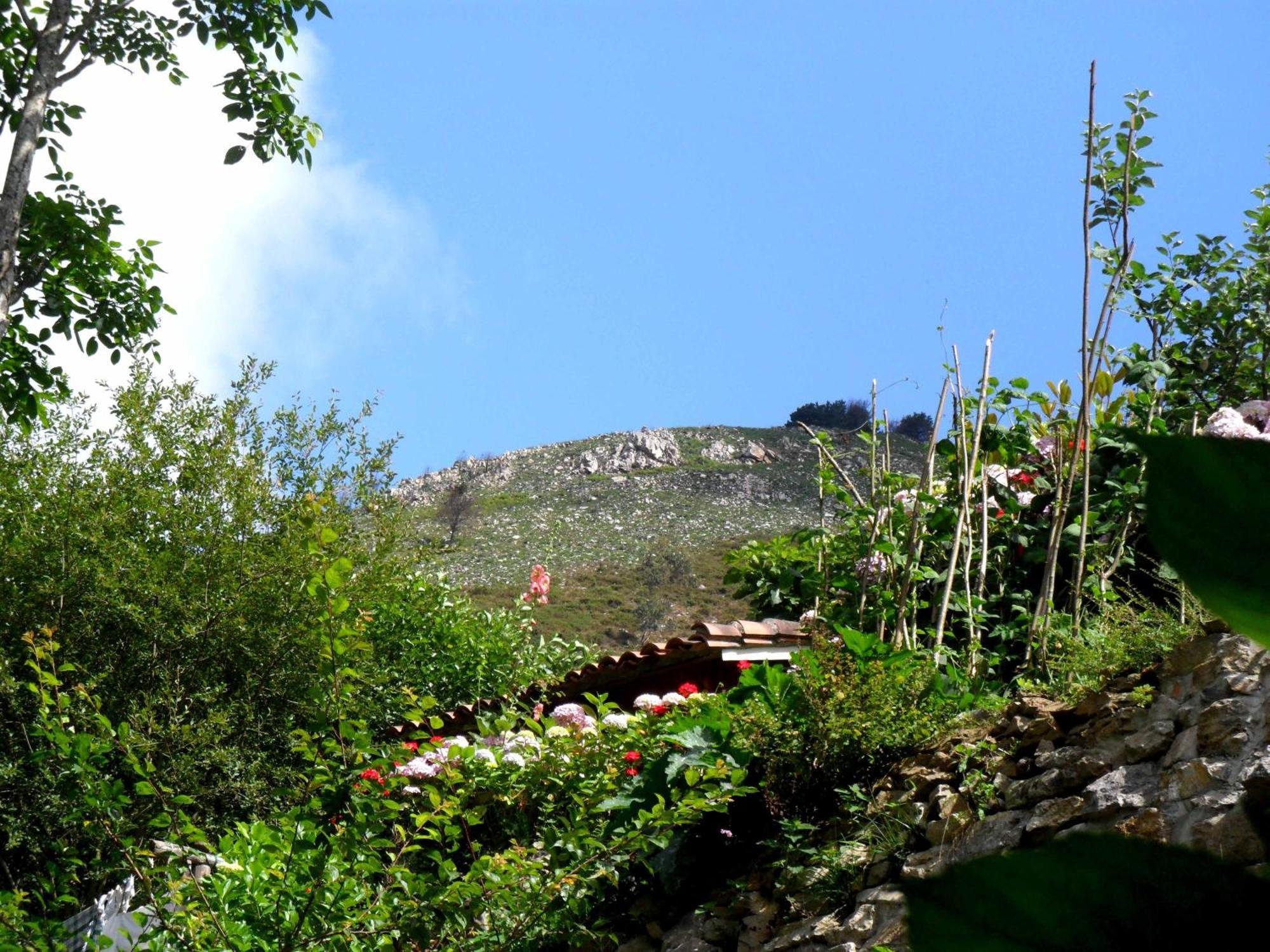 Casa Rural La Posada Del Alba Alea Bagian luar foto